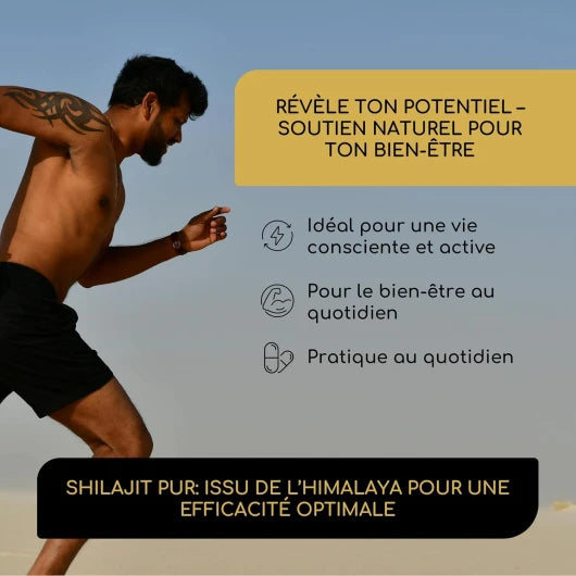 Capsules Shilajit pur de l'Himalaya