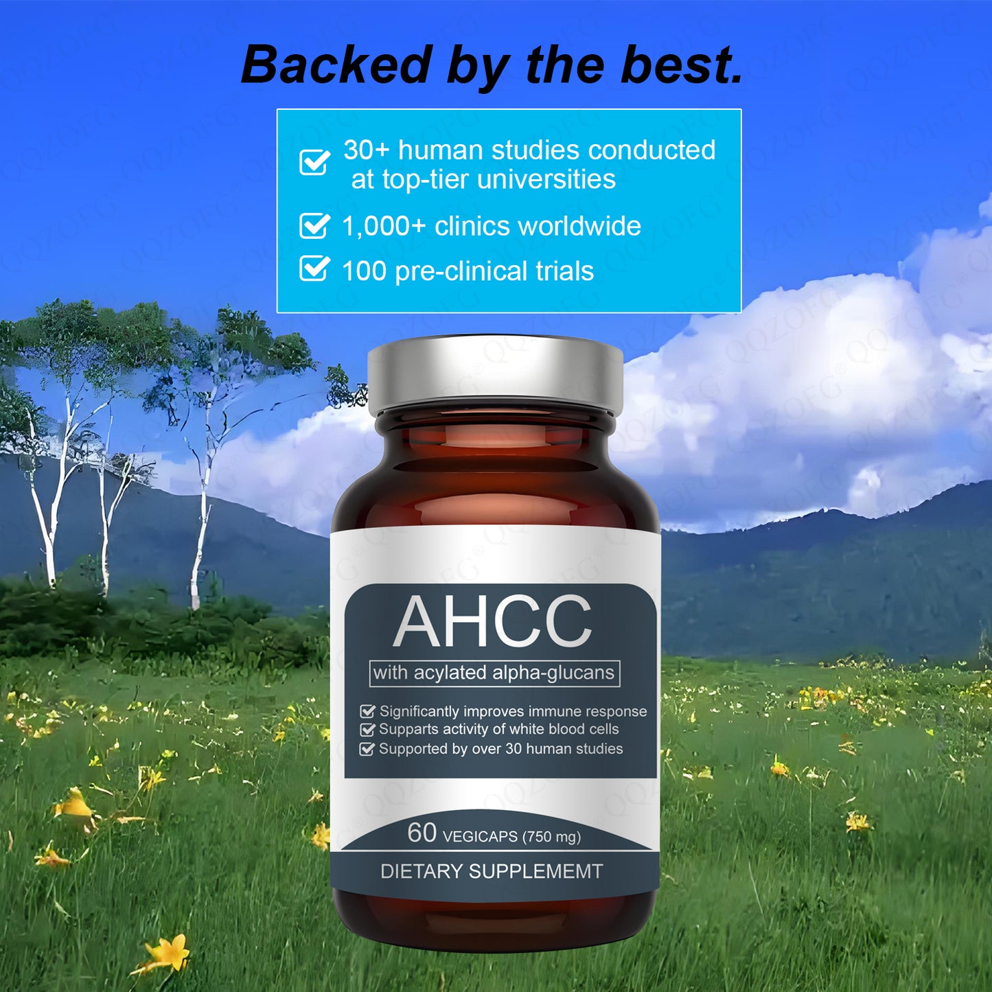 Complément Alimentaire Immunitaire avec Alpha-Glucanes Acyclés