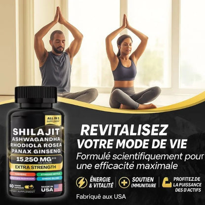 Capsules Shilajit pur de l'Himalaya